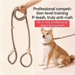 Heavy Duty Dog Slip Lead – No Pull Training Rope Leash