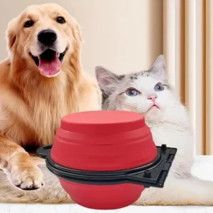 2-in-1 Collapsible Dog Travel Bowl – Portable Food & Water Feeder