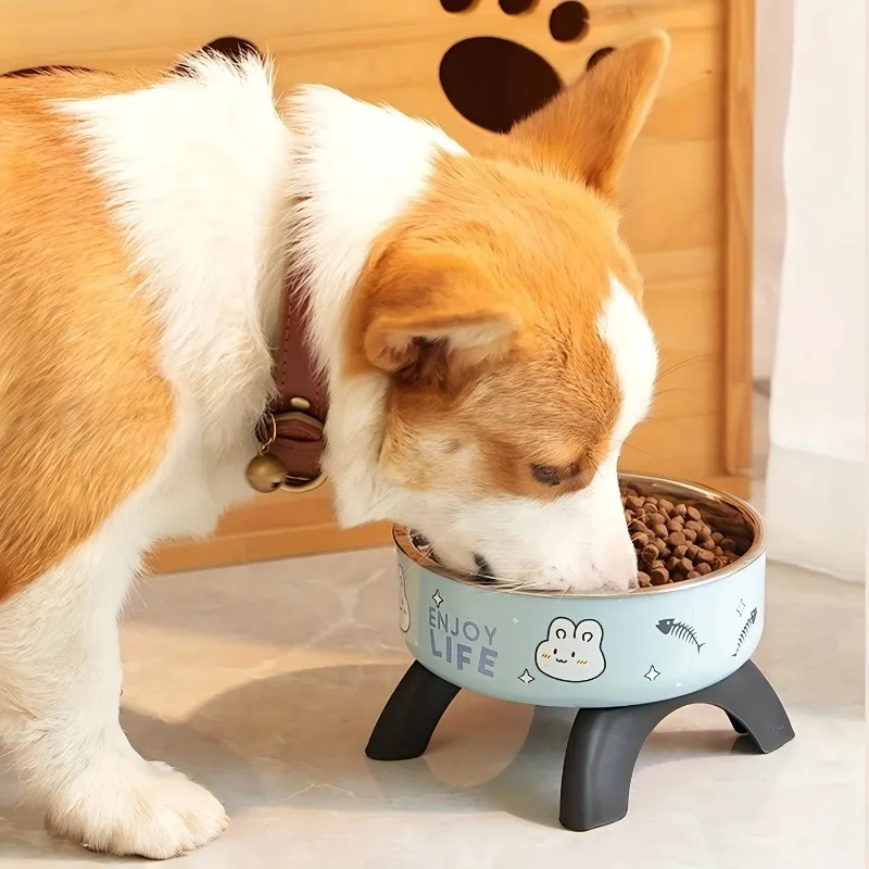 Elevated Stainless Steel Pet Bowl – Non-Slip Dog & Cat Feeding Bowl - Image 4