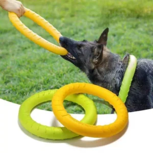 Dog Flying Ring Toy – Durable Fetch & Training Ring