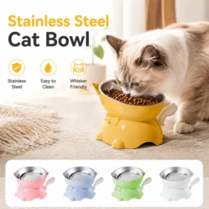 15° Tilt Elevated Stainless Steel Pet Bowl for Dogs & Cats